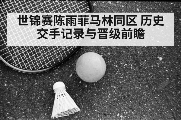 世锦赛陈雨菲马林同区 历史交手记录与晋级前瞻