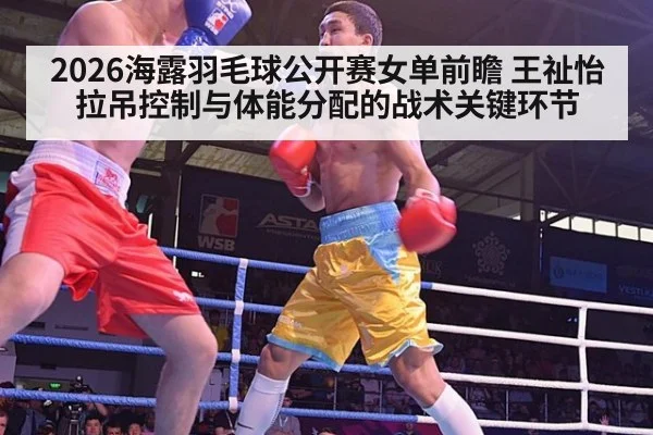 2026海露羽毛球公开赛女单前瞻 王祉怡拉吊控制与体能分配的战术关键环节